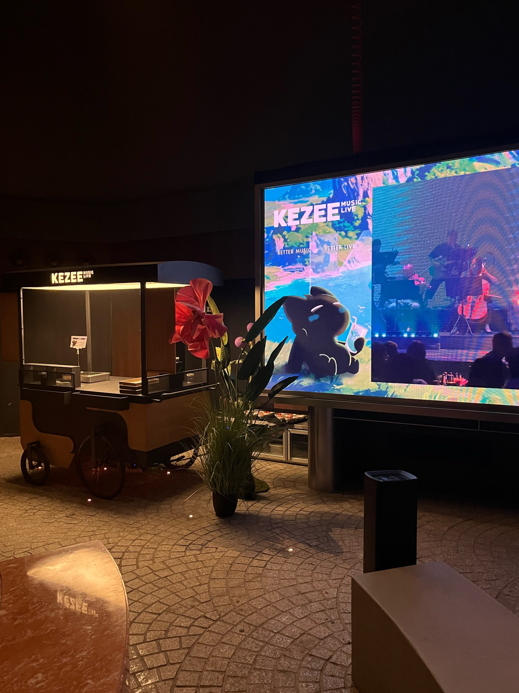 毕节中低端商务ktv最佳选择-纳雍县ktv预订